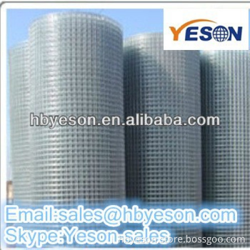 Low Price Galvanized Welded Wire Mesh Factory/2014 new brid cages